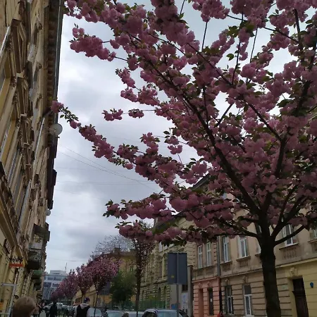 Appartement Near The Opera