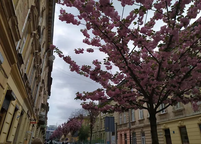 Lejlighed Near The Opera