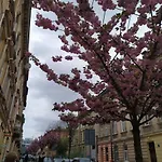 דירה Near The Opera