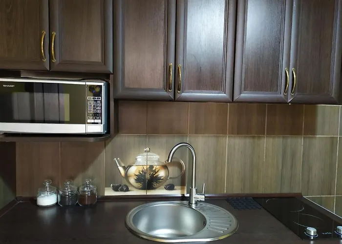 Appartement Near The Opera Lviv